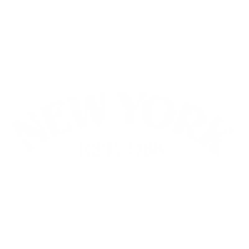 Funny T-Shirts design "New York Est. 1788 T-Shirt"