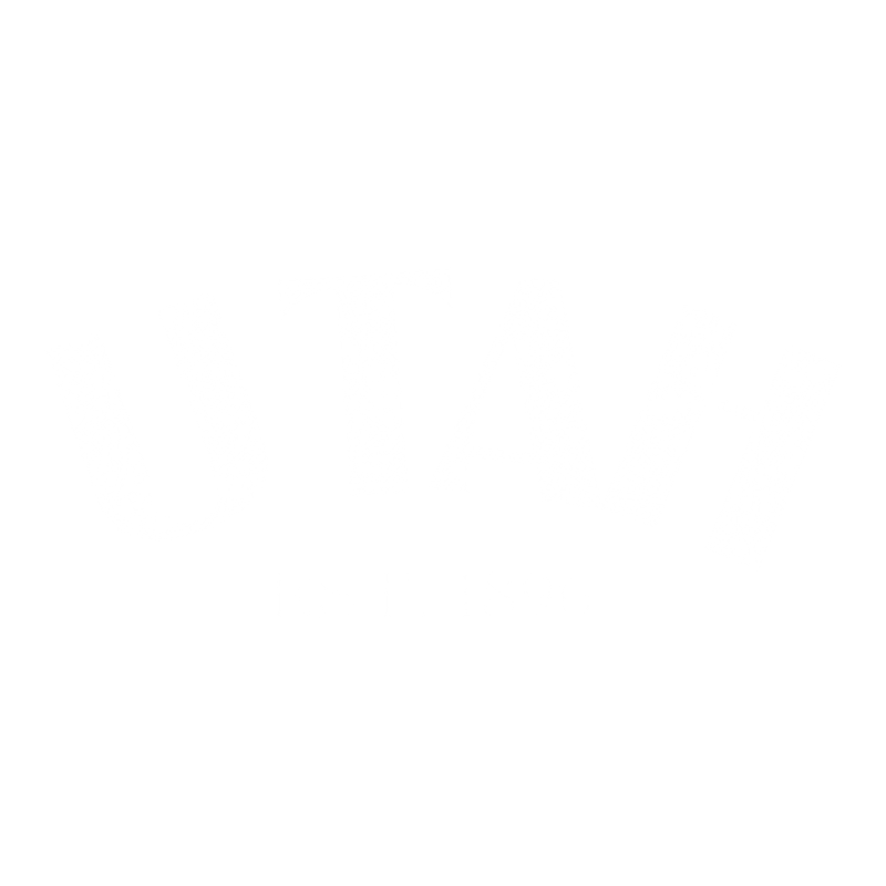 Funny T-Shirts design "Utah Est. 1896 T-Shirt"