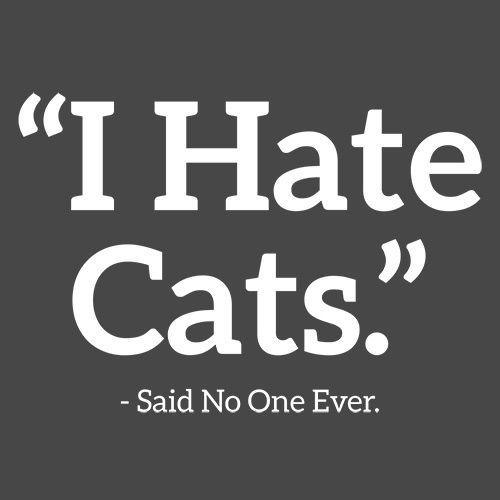 Funny T-Shirts design "I Hate Cats Said No One Ever T-Shirt"