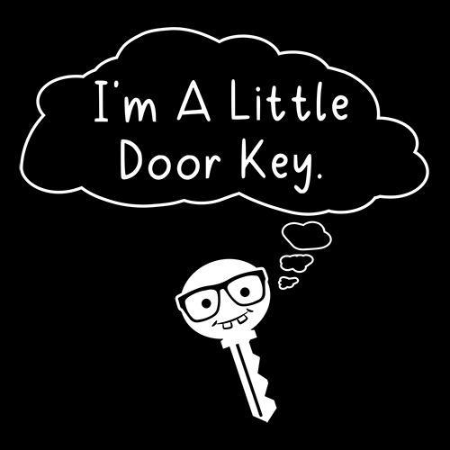 Funny T-Shirts design "I'm A Little Door Key"