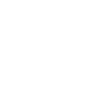 Funny T-Shirts design "Insane? I Prefer The Term Mentally Hilarious"