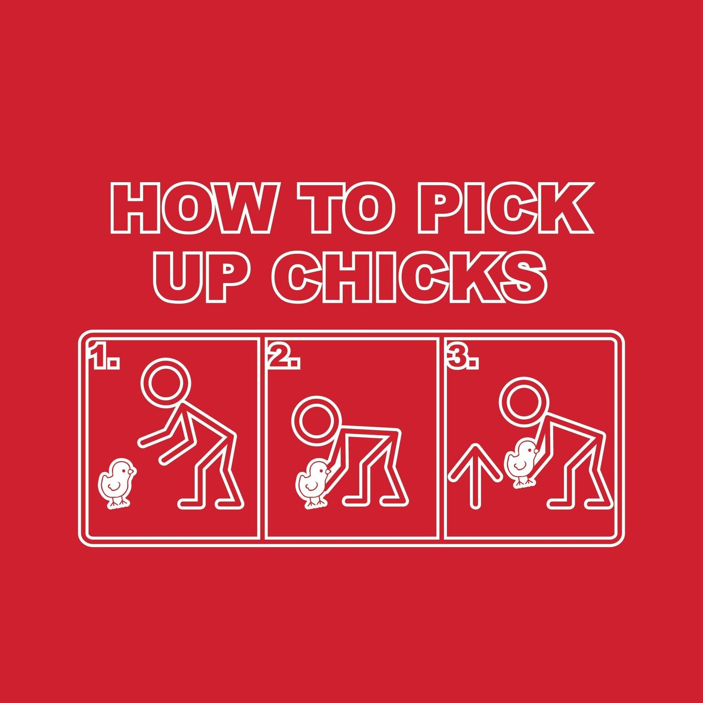 Funny T-Shirts design "How To Pick Up Chicks"