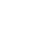 Funny T-Shirts design "Im With Stupid Shirt"