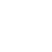 I Always Give 100% At Work - Roadkill T-Shirts