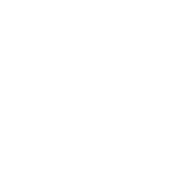 Funny T-Shirts design "I Got Out Of Bed For This"