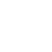 Funny T-Shirts design "Irish You Were Naked"