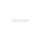 Rock Out With Your Shamrock Out