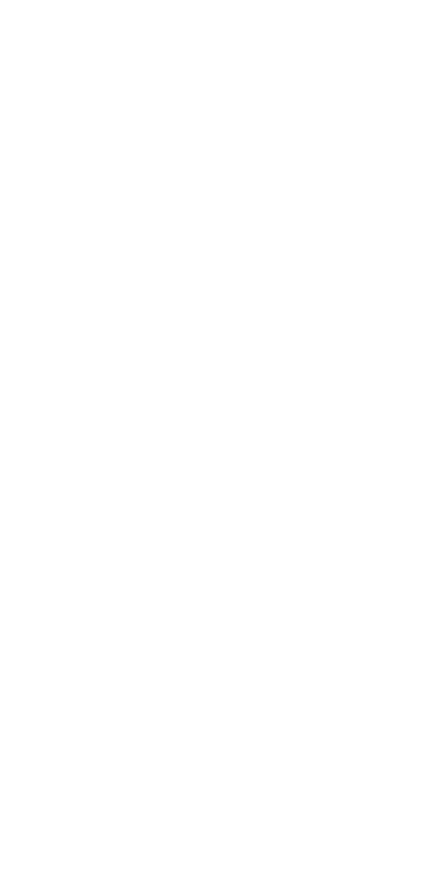 Burrito, Taco!, Margarita, Graphic Shirt - Roadkill T-Shirts