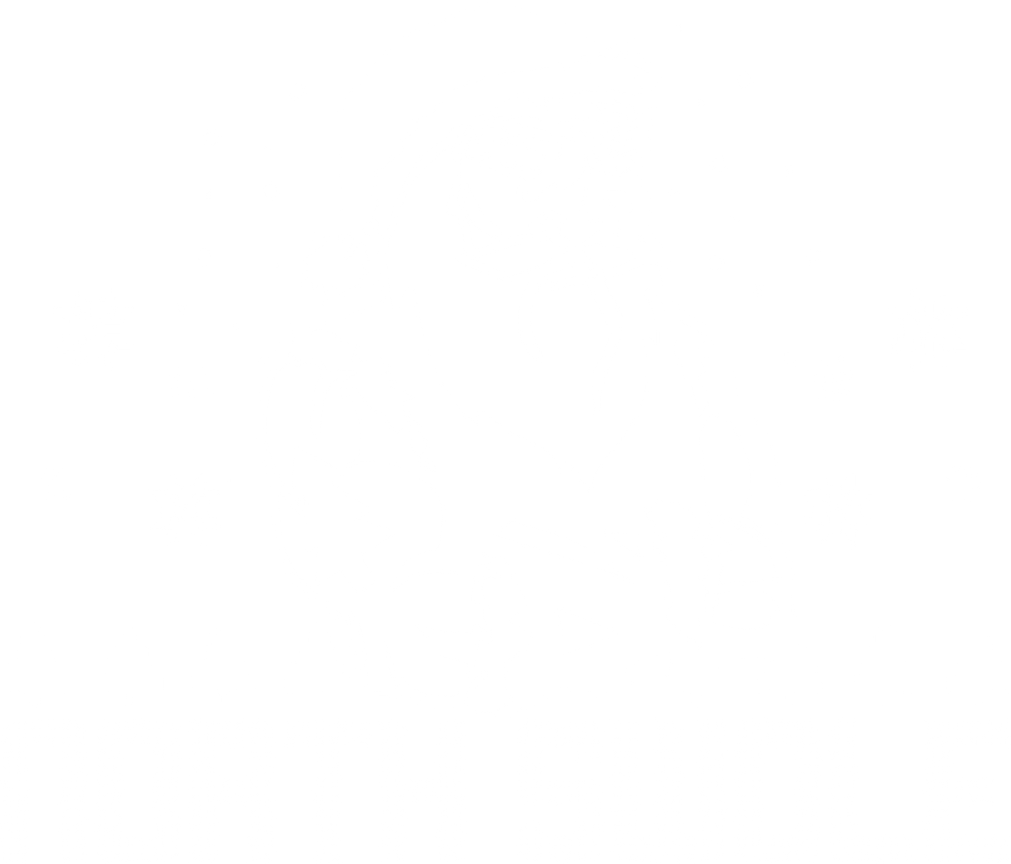North Swole Funny Shirt - Roadkill T-Shirts