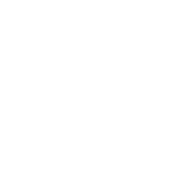 I'm Not With Stupid Anymore - Roadkill T-Shirts