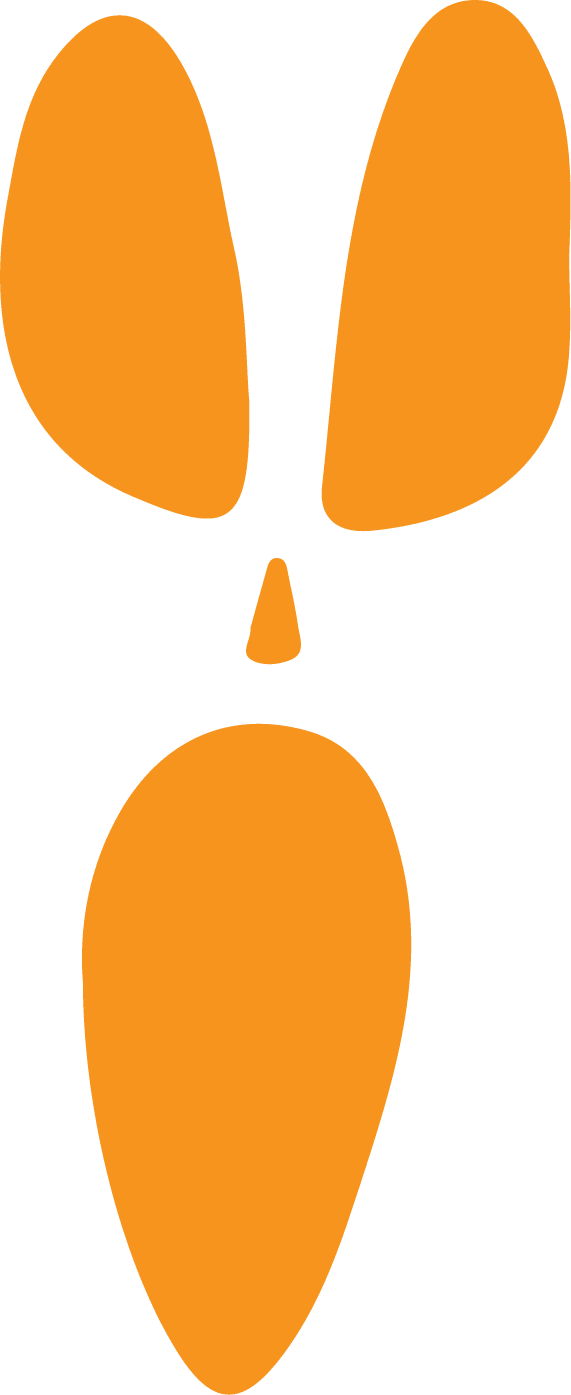 Pumpkin O Face, Tee - Roadkill T-Shirts