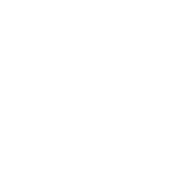 I Always Mean What I Say...I May Not Always Mean To Say It Out Loud, But I Always - Roadkill T-Shirts