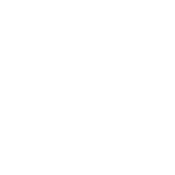 Funny T-Shirts design "I Just Know I'll Die Trying To Pet Something I Shouldn't"