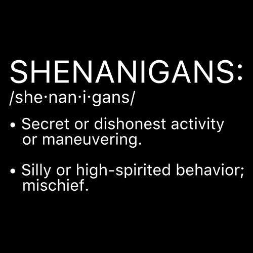 Shenanigans Definition - Roadkill T-Shirts