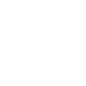 Funny T-Shirts design "Best Grandma Ever"