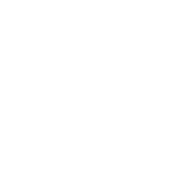 Funny T-Shirts design "I Can't Have Kids My Dog Is Allergic"