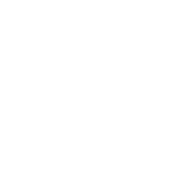Funny T-Shirts design "I'm Only Talking To My Dog Today"