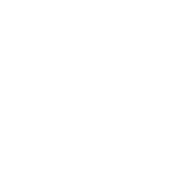 I Am Black History. - Roadkill T-Shirts