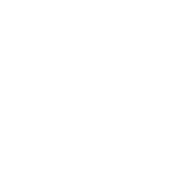 Funny T-Shirts design "If I Can't Bring My Dog I'm Not Going"