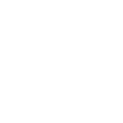 I Only Do Butt Stuff At The Gym - Roadkill T-Shirts