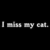 Funny T-Shirts design "I Miss My Cat"