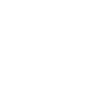 Don't Make Me Use My Mom Voice - Roadkill T-Shirts