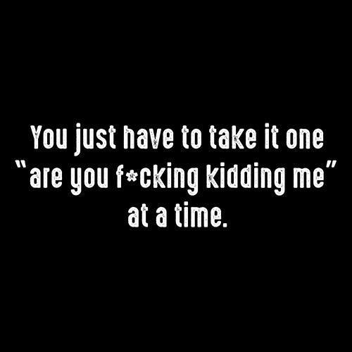 Funny T-Shirts design "You Just Have To Take It One "Are You F*cking Kidding Me" At A Time"