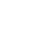 Funny T-Shirts design "I F*cking Love And I Cannot Stress This Enough Cats"