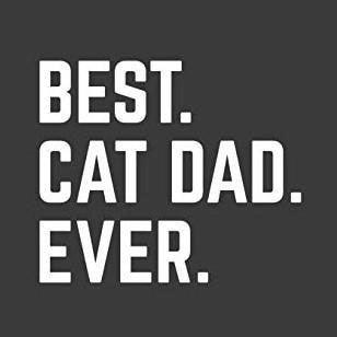 Funny T-Shirts design "Best Cat Dad Ever Shirt"