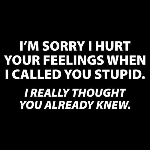 Funny T-Shirts design "Sorry I Called You Stupid I Thought You Already Knew"