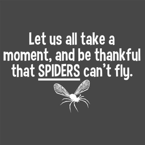 Funny T-Shirts design "Let Us All Take A Moment And Be Thankful That Spiders Can't Fly"
