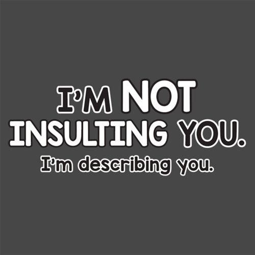 Funny T-Shirts design "I'm Not Insulting You I'm Describing You"