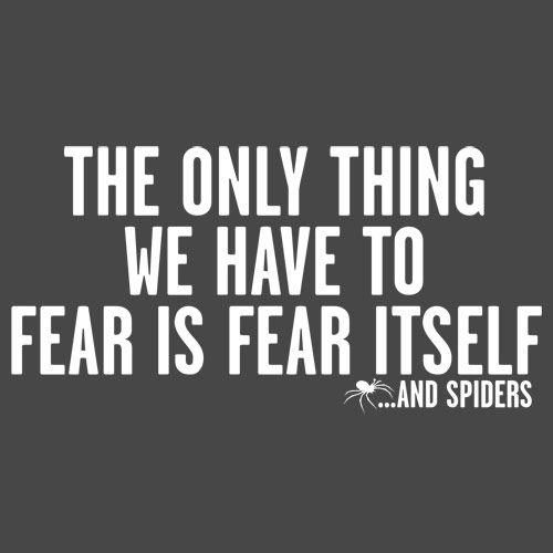 Funny T-Shirts design "The Only Thing We Have To Fear Is Fear Itself And Spiders"