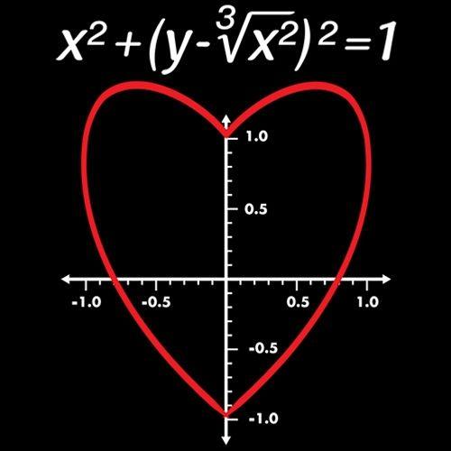 Funny T-Shirts design "Love Function"