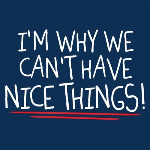 Funny T-Shirts design "I'm Why We Can't Have Nice Things"