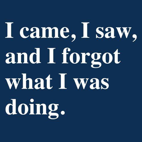 Funny T-Shirts design "I Came, I Saw, I Forgot What I Was Doing"