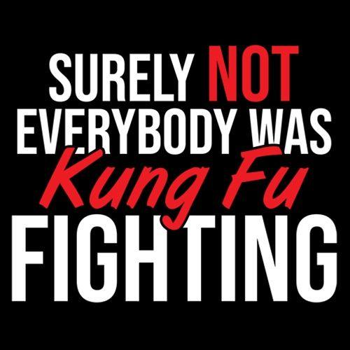 Funny T-Shirts design "Surely Not Everybody Was Kung Fu Fighting"