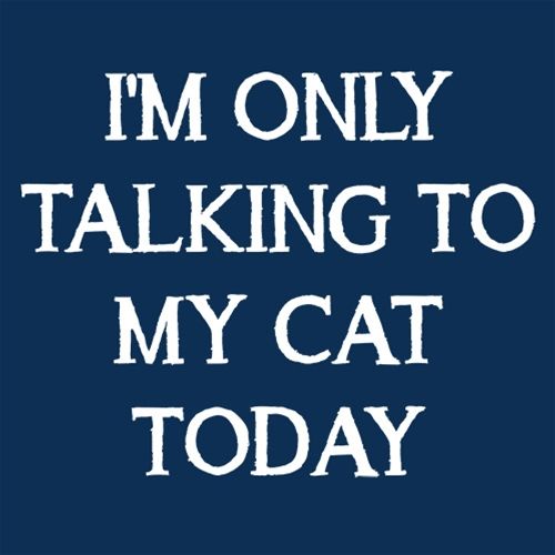 I'm Only Talking To My Cat Today