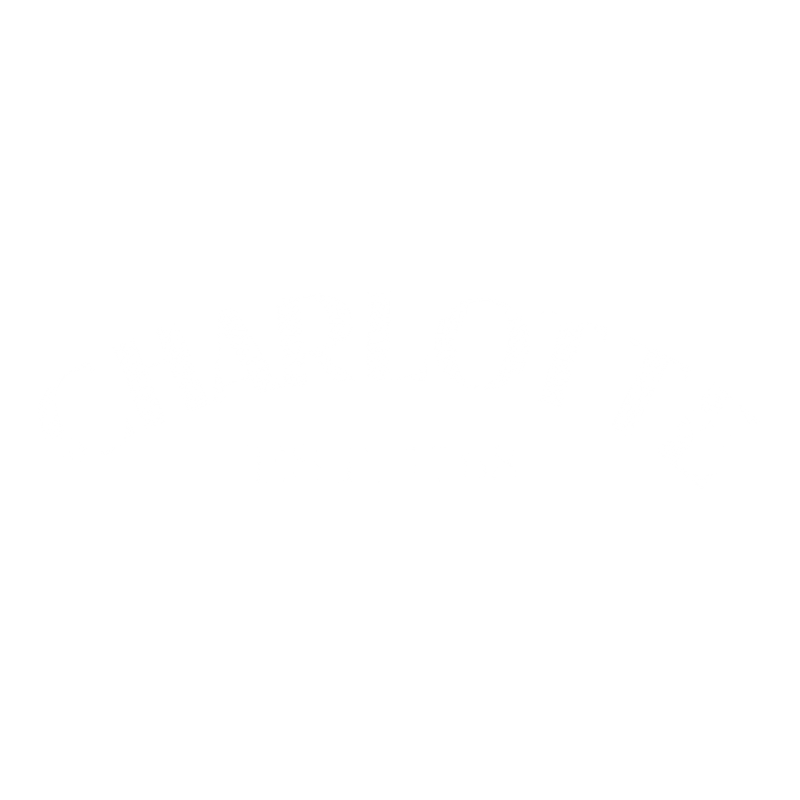 Funny T-Shirts design "Charlotte Est. 1768 T-Shirt"