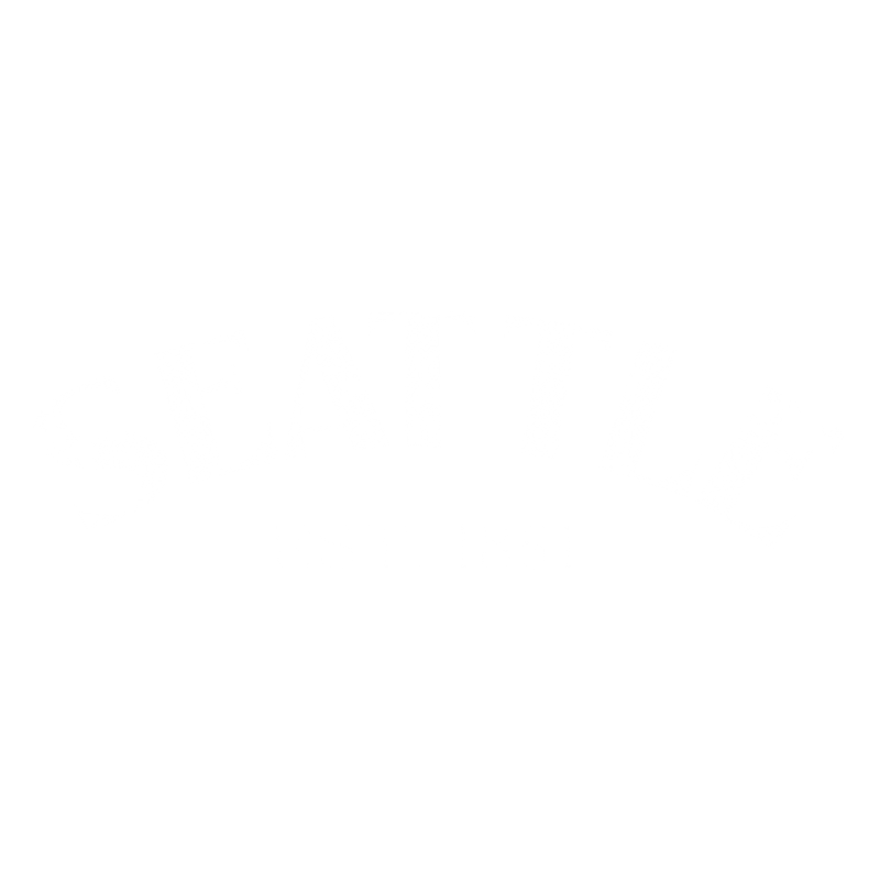 Funny T-Shirts design "Seattle Est. 1851 T-Shirt"