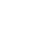 Funny T-Shirts design "I Put Out"