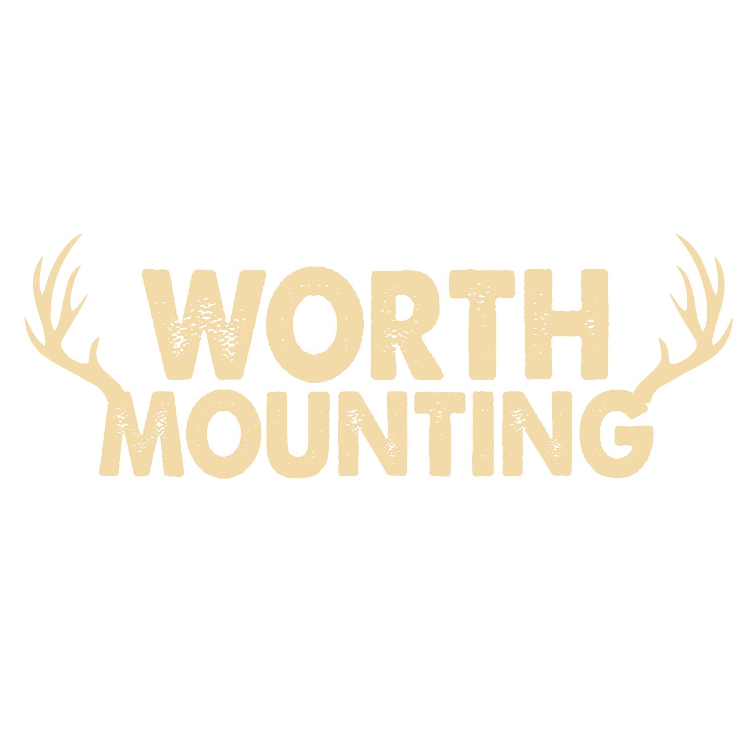 Funny T-Shirts design "Worth Mounting"