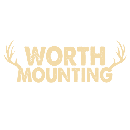 Funny T-Shirts design "Worth Mounting"