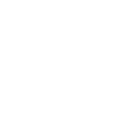 Funny T-Shirts design "Masterbait And Tackle"
