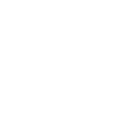 Funny T-Shirts design "Octopi"