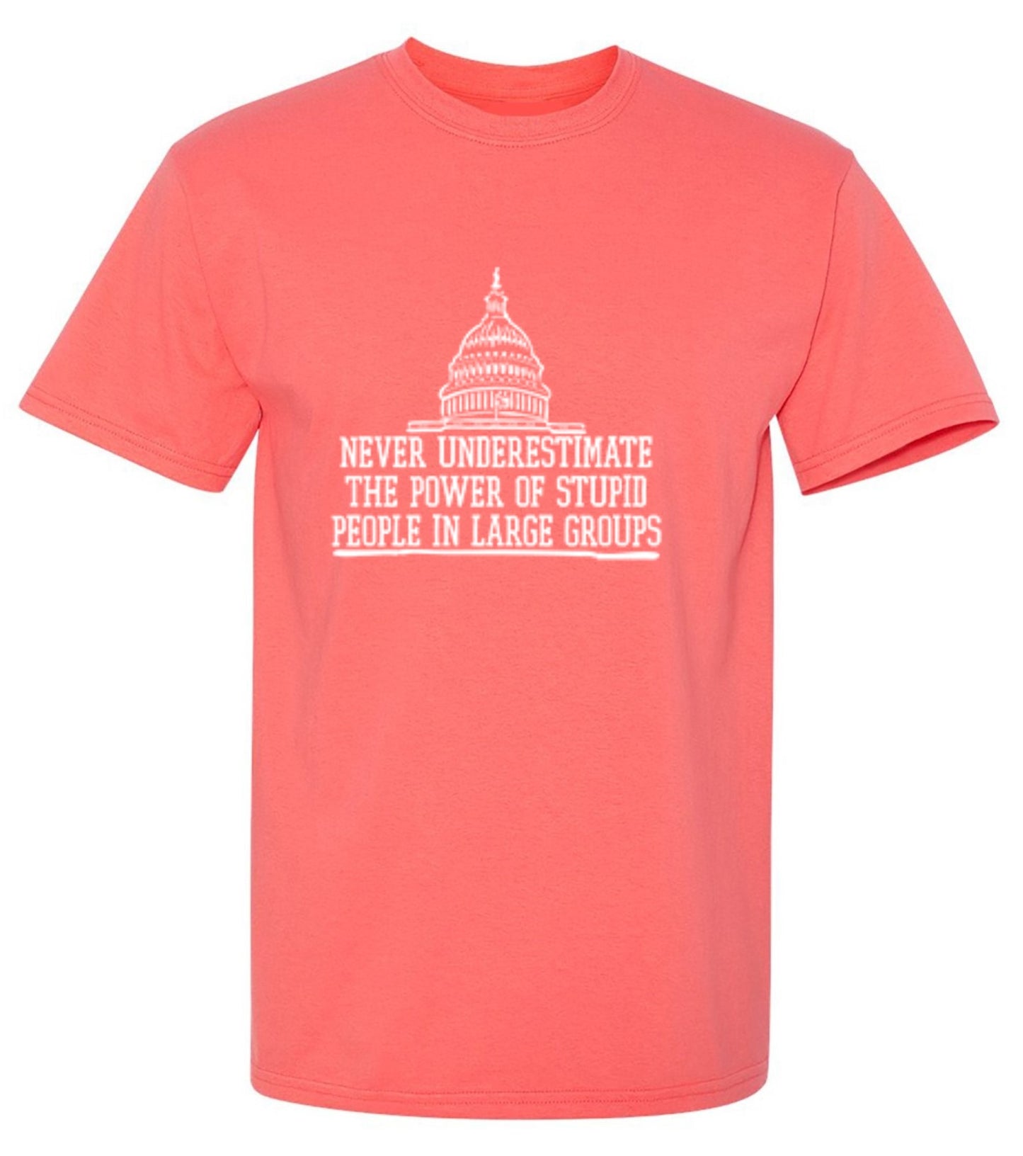 Funny T-Shirts design "Never Underestimate The Power Of Stupid People In Large Groups T-Shirt"