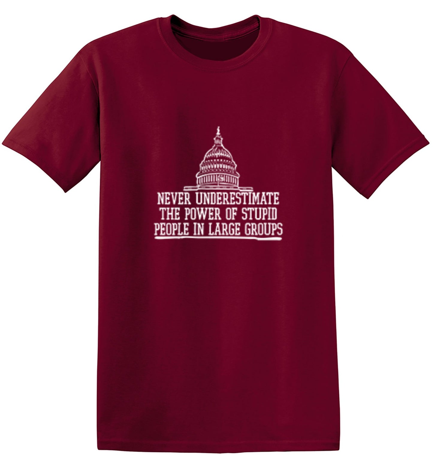 Funny T-Shirts design "Never Underestimate The Power Of Stupid People In Large Groups T-Shirt"