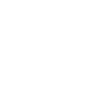 Funny T-Shirts design "What doesn't kill you makes you stronger Except for bears"