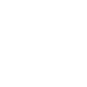 Funny T-Shirts design "Let's Not Complicate Things With Words Or Feelings"