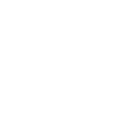 Funny T-Shirts design "Donkey Punch Champion"